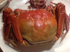 -乾隆美食·本帮菜(黄河路店)