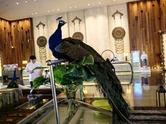 -西双版纳融创皇冠假日度假酒店