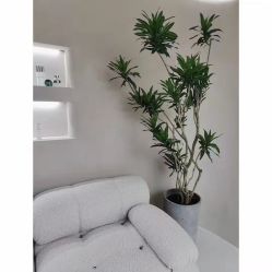 -VALMONT·若嫚蝶国际美肤中心