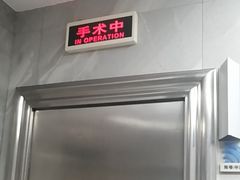 -半岛宠物医院24小时(白果林店)
