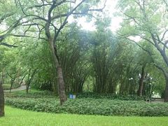 -晓港公园