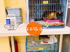 -美迦爱-动物医院·骨科·牙科·夜诊(朝阳路诊疗中心)