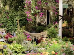 -白鹭湾湿地公园