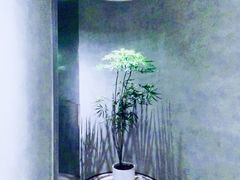 -二酉书店TOYOU BOOKS