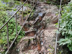 -云岫谷游猎自然风景区