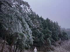 -四明山国家森林公园