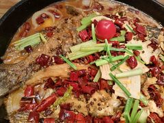 -老板恋上鱼(印象城店)