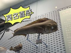 -浙江自然博物院(杭州馆)