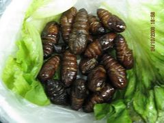 炸蚕蛹-雪乡人家东北菜·铁锅炖一切(高斯路店)