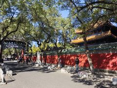 -北京国子监胡同