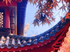 -岳麓山风景名胜区