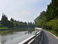 -嘉定紫藤园