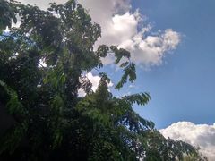 -白沙门生态公园