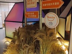 -山水温泉