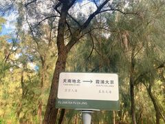 -大京沙滩