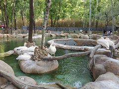 -北京野生动物园