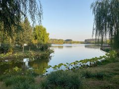 -东郊湿地公园