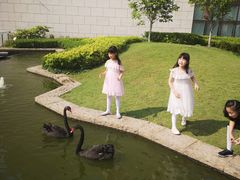 -行者书屋大堂吧 ·下午茶(南京圣和府邸酒店)