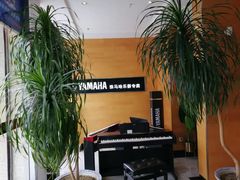 -海音琴行雅马哈钢琴·海伦·施特劳斯(金沙店)