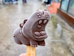 -上海野生动物园