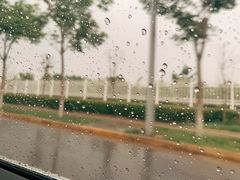 -茯茶镇