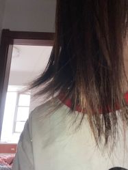 -Z.F私人订制
