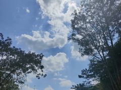 -广州白江湖森林公园