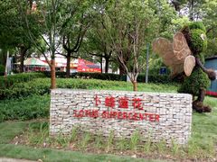 -卜蜂莲花(杨高南路店)