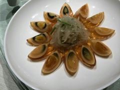 -子福慧(虹桥店)