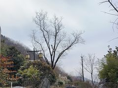 -长安文化生态公园