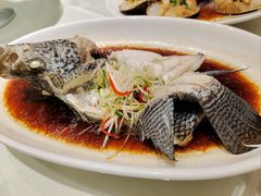 -双子楼大酒店(城开国际写字楼店)