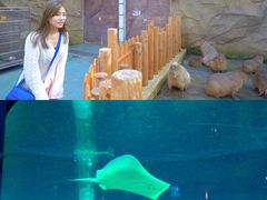 -前王院•巧克力海鲜市集餐厅(万平口店)