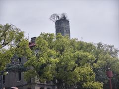 -江心屿景区