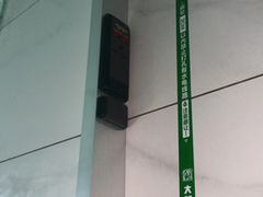 -大树装饰·十年本土家装
