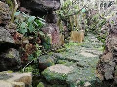 -南通洲际绿博园