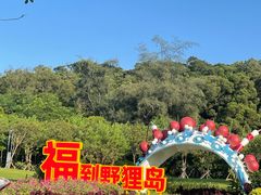 -野狸岛