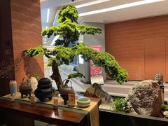 -许爷家·生态湖鲜(徐汇日月光店)
