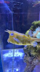 -Zoolung Zoolung动物主题公园(海信广场店)