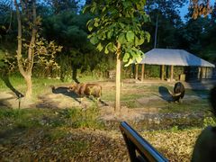 -清迈夜间动物园