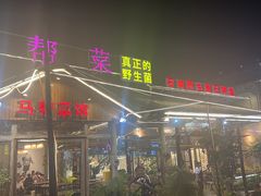 -马帮菜馆·美味野生菌