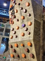 -卡通尼·Safari非洲探索乐园·生日会(金桥国际商业广场店)