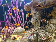 -沈阳海洋探索中心