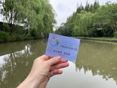 -同里国家湿地公园