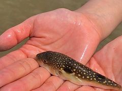 -ChanDu躔度咖啡(灯塔店)