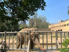 -南昌动物园