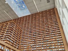 -朵云书院(滴水湖店)