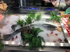 -盒马鲜生(大成店)