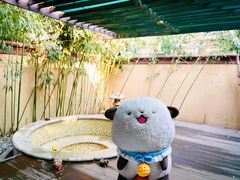 -春晖园度假酒店温泉