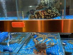 -ONE FULL 古董港式海鲜火锅