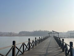 -溱湖国家湿地公园